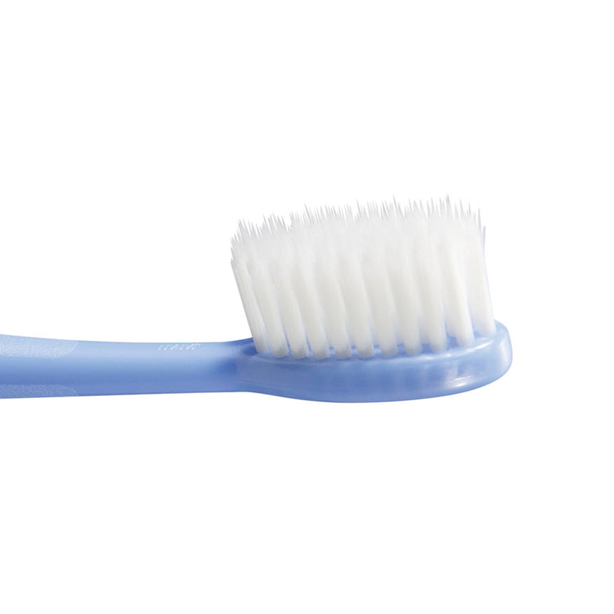爆買い送料無料 ライカブル オーラルケア 歯ブラシ １２本セット 歯科 歯科専売 虫歯 予防